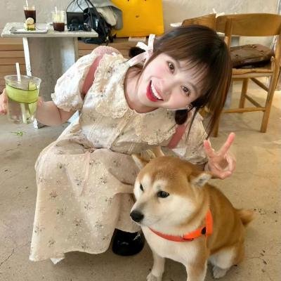 光影之妓
